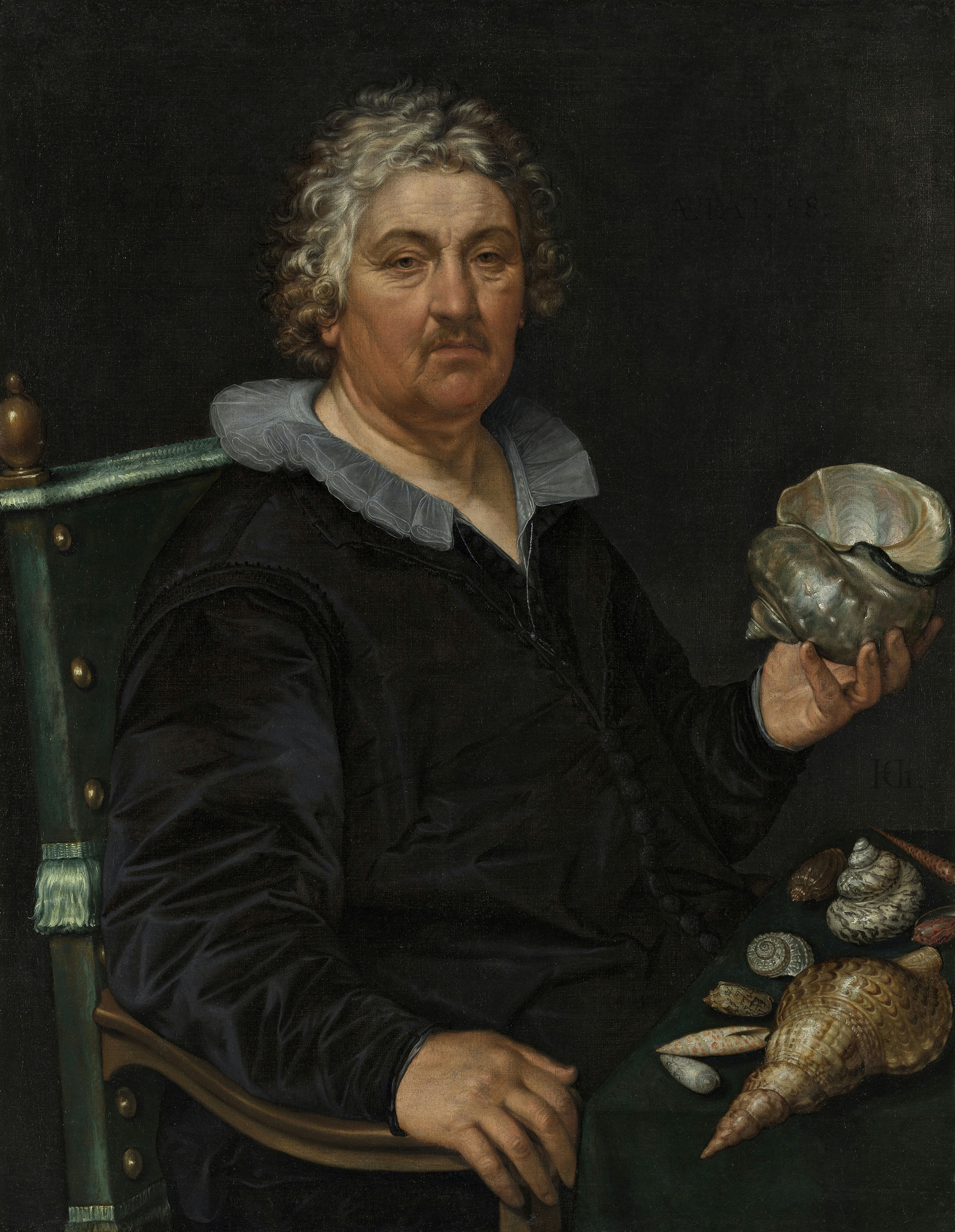 《贝壳收藏家简·戈弗森·范德阿尔的肖像》