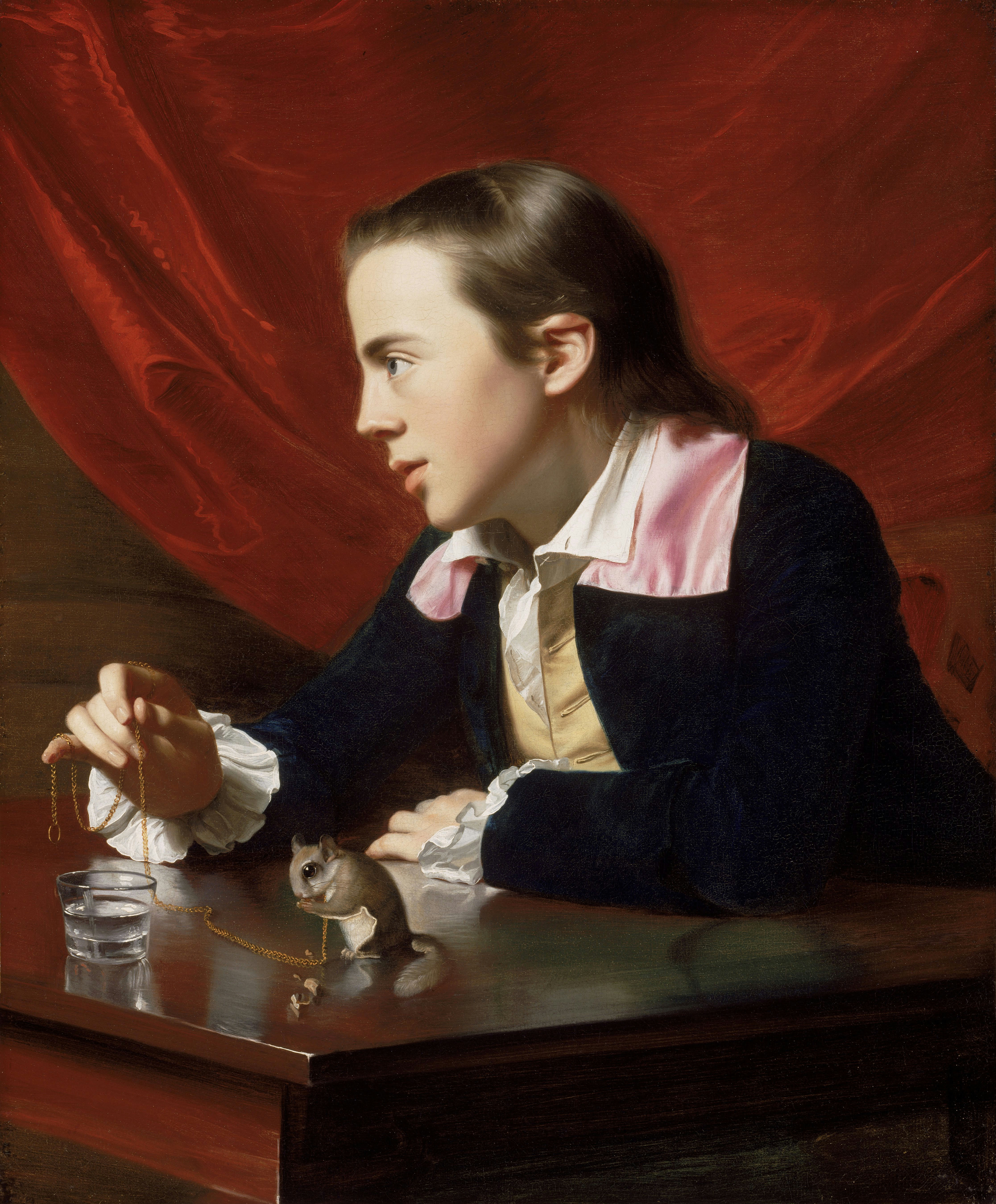 《亨利·佩勒姆的肖像(少年与鼯鼠)》