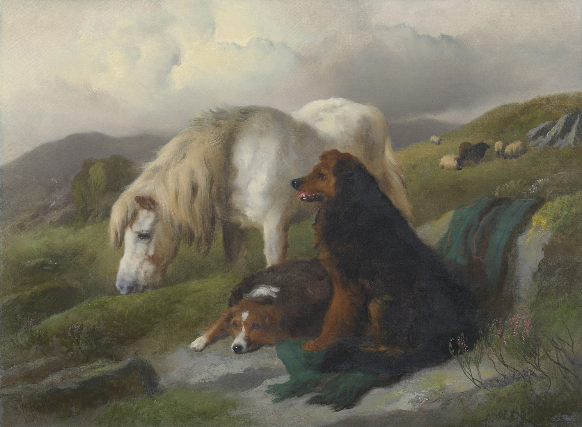《牧羊犬和小马》