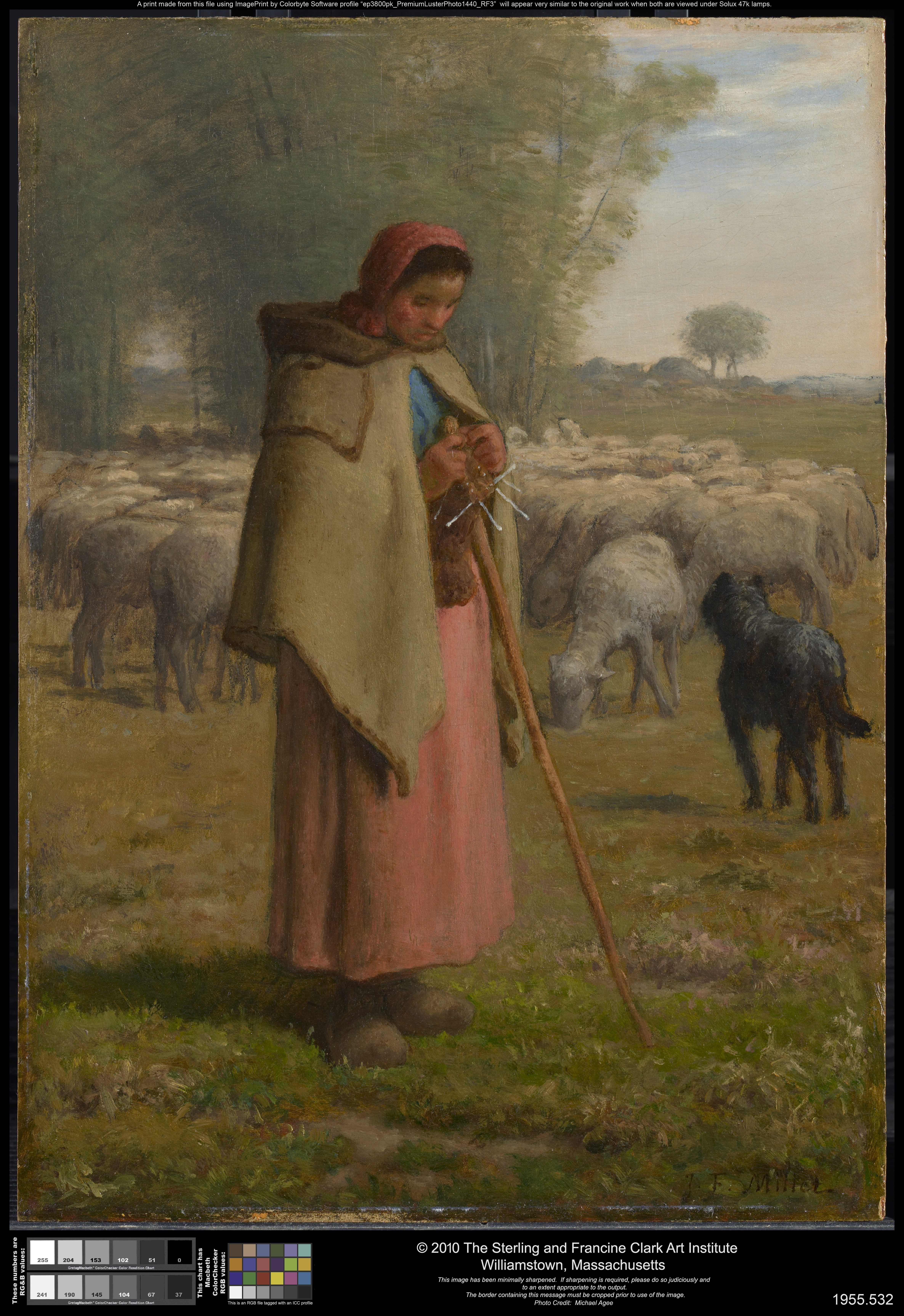 《守护羊群的年轻女孩》