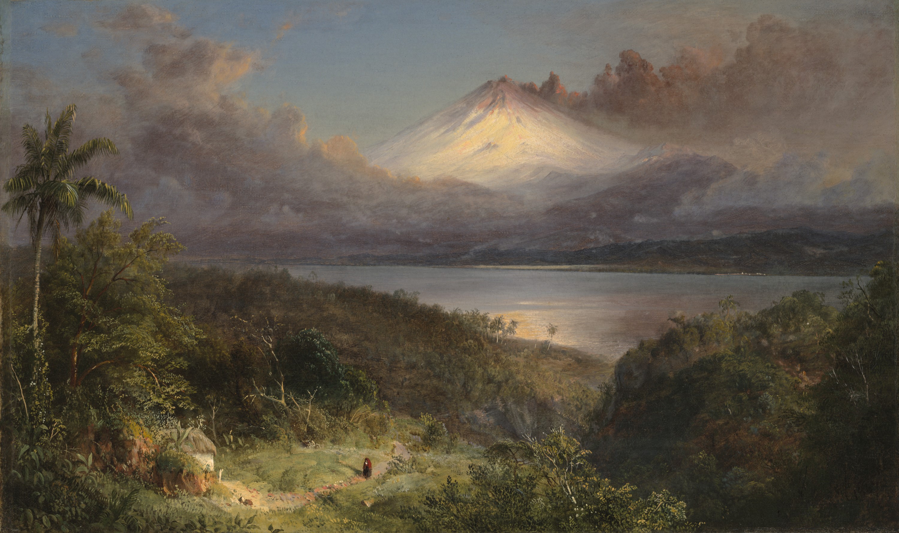 《科托帕希火山景观》